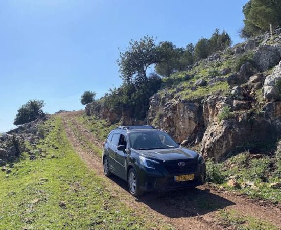 מתגלגלים עם גיל אצבע הגליל